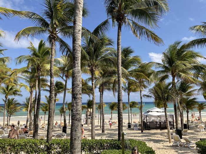 Luxury travel expert